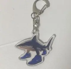 tralalero tralala　トララレーロ　トラララ アクリルキーホルダー