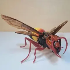 生き物大図鑑　ツマグロスズメバチ フィギュア