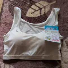 Item thumbnail for item 72f41e22-b8de-4d62-8ee2-924473c27b58