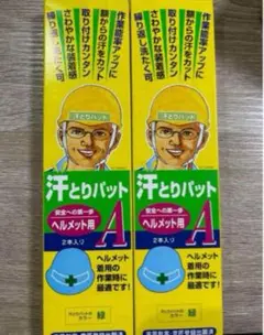 Item thumbnail for item 60c93af5-cd09-474f-8310-6ac5f2e4ced6