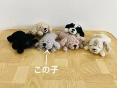 あみぐるみ 犬　トイプードル　プードル