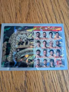 RIZINポテトスティックポスターカードコレクション シークレット