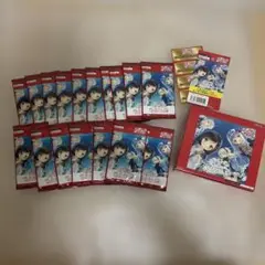 DIVINE CROSS お家に帰るまでがましまろです17パック空ボックス付き