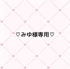 専用ページ