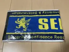 祝　甲子園初戦突破！仙台育英　応援マフラータオル 新品未使用