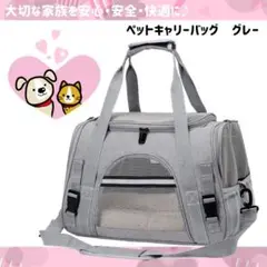 ♡新品未使用♡ペット キャリーバッグ 犬 猫 ショルダー 肩掛け グレー