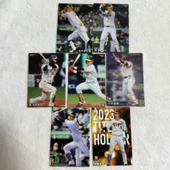 プロ野球チップスカード　阪神タイガース