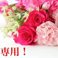 カレンソロジー 定価3.4万 洗える ウールハイネックワンピース F グリーン