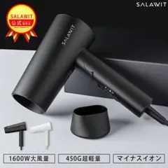 ヘアドライヤー 1600W 大風量 マイナスイオンドライヤー 軽量 1665