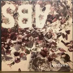 Predawn 手のなかの鳥　レコード　アナログ　サイン入り 2025年最新】predawn レコードの人気アイテム - メルカリ