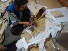 大豆 新潟県魚沼市「えんれい」5kg おばあちゃんの手選別