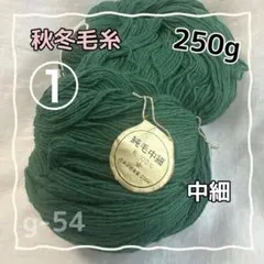 g-54 秋冬毛糸　純毛中細 ウール100% 250g