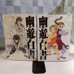 幽・遊・白書 完全版 11巻12巻