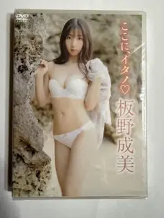 板野友美DVD【新品.未開封】【シュリンク加工有】【匿名配送】最終在庫1点限り