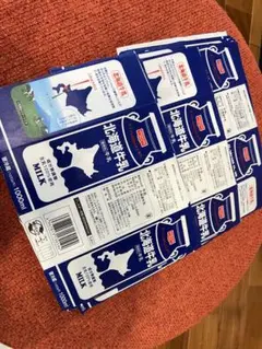 【最終値下げ中！】牛乳パック　33本　夏休み　自由研究　工作材料　※送料無料