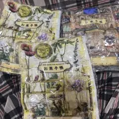 ガチャガチャ　医療系雑貨生みたて卵屋おくすり手帳ポーチVol.2
