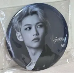 Stray Kids BIGバッチ フィリックス