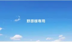 専用