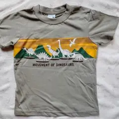 恐竜デザインTシャツとショートパンツセット …ベビーパンツ。