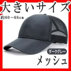 メッシュキャップ 大きいサイズXXL以上 頭囲60～68cm 無地 ダークグレー