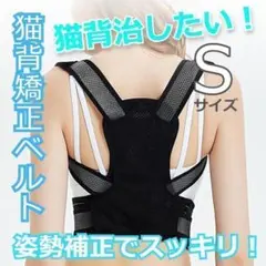 Item thumbnail for item 7afda380-cf14-4b49-9fa7-5f35a5e6c8fb