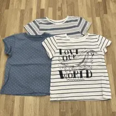 next Tシャツ　3枚セット