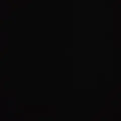 専用
