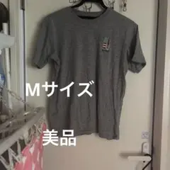 グレー 半袖Tシャツ サーフボード刺繍　Mサイズ