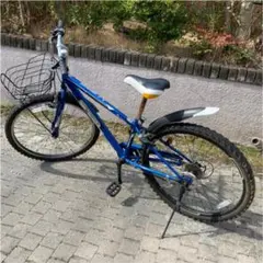 自転車 マウンテンバイク 子供用 キッズ ジュニア