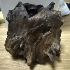 ダークブラウン流木 自然形状