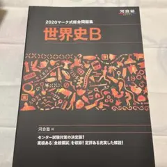 2025年最新】河合塾世界史科の人気アイテム - メルカリ