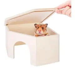 Item thumbnail for item 27c5a3b0-0c2e-4fd9-b0a3-e05f7adb9cc4