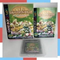 シルバニアファミリー2 ゲームボーイカラー 箱付き 取り扱い説明書付き