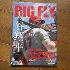 日本ハムファイターズ大谷翔平2012-2017 プレイバックwith道新スポーツ ファイターズ 大谷翔平プレイバックwith道新スポーツ - 道新