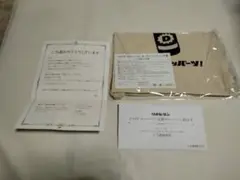 Item thumbnail for item 408da820-27b2-4584-87f0-7c00603e9e57