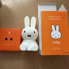 【即購入ok!!】ミッフィ LEDライト miffy USB充電式 BIG