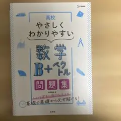 高校やさしくわかりやすい問題集 数学B+ベクトル