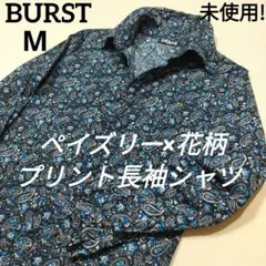 Item thumbnail for item 73db082b-ade1-432a-a938-56953acdfd1c