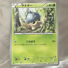 タネボー ポケモンカード