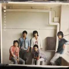 嵐 通常盤 アオゾラペダル