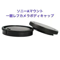 Item thumbnail for item 071b03c0-80e3-4472-a412-35a1f8bce94a