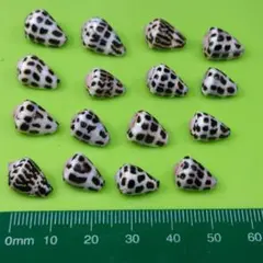 Item thumbnail for item 6b42b819-c82f-4b6b-a641-8e0c05775507