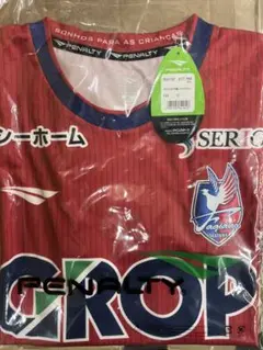 ファジアーノ岡山　2025年　ホームユニフォーム　Oサイズ