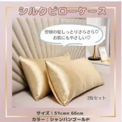 シルクピローケース 2枚セット シャンパンゴールド