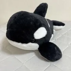 名古屋港水族館 シャチ ぬいぐるみ 2等
