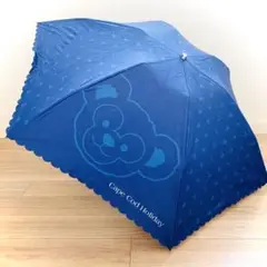 【ディズニーシー限定】ダッフィ 晴雨兼用傘 折りたたみ傘