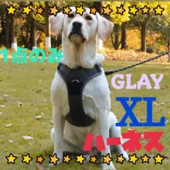 Item thumbnail for item 21963771-f8bc-487f-b4d7-5dd3d29ac0e0