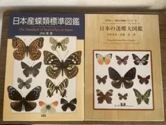 最終価格！]日本産蝶類標準図鑑