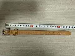 Item thumbnail for item 359e42ba-d155-409c-a26e-c2f4c77af904