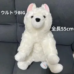 ★新品未使用品★くったりサモエドくん　ウルトラBIG ぬいぐるみ　オフホワイト